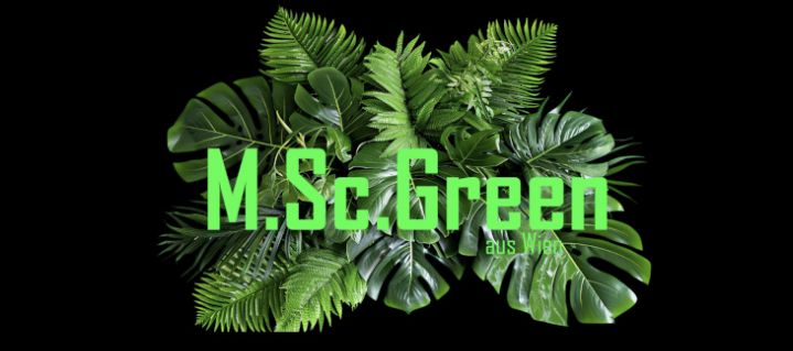 MscGreen Titelbild